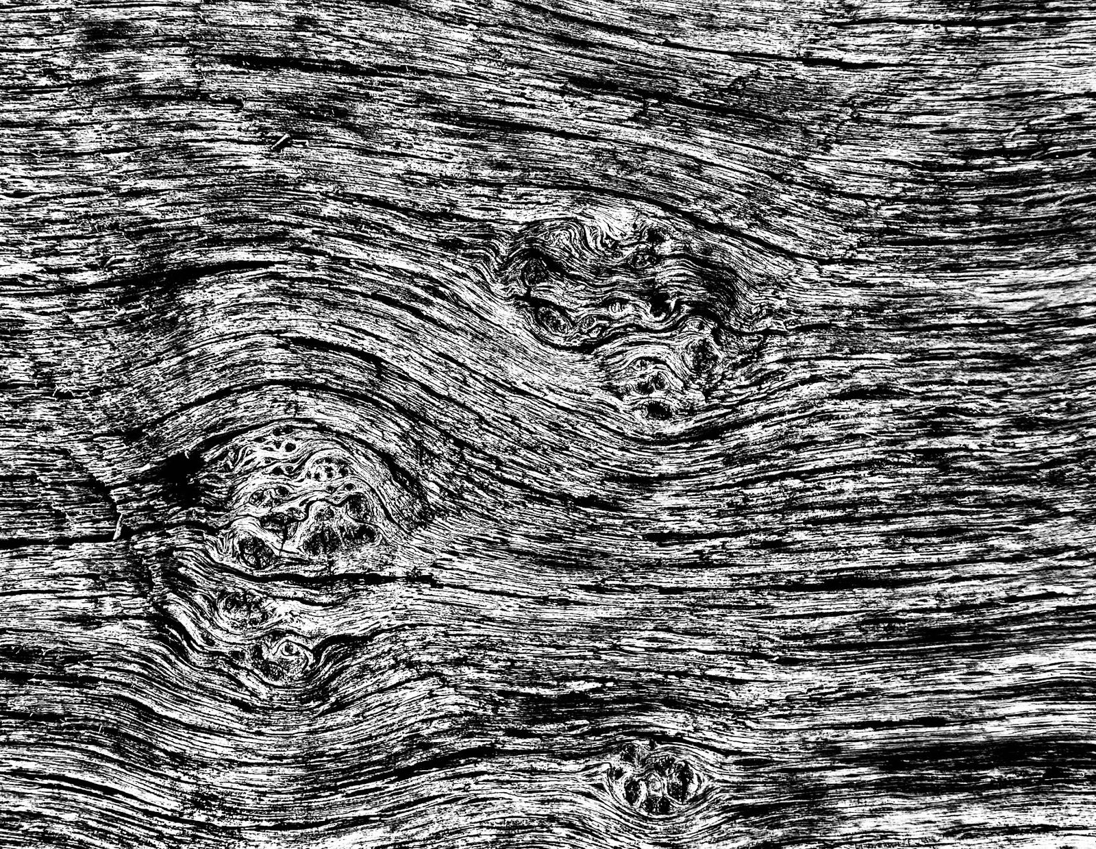 Abstractie van de natuur